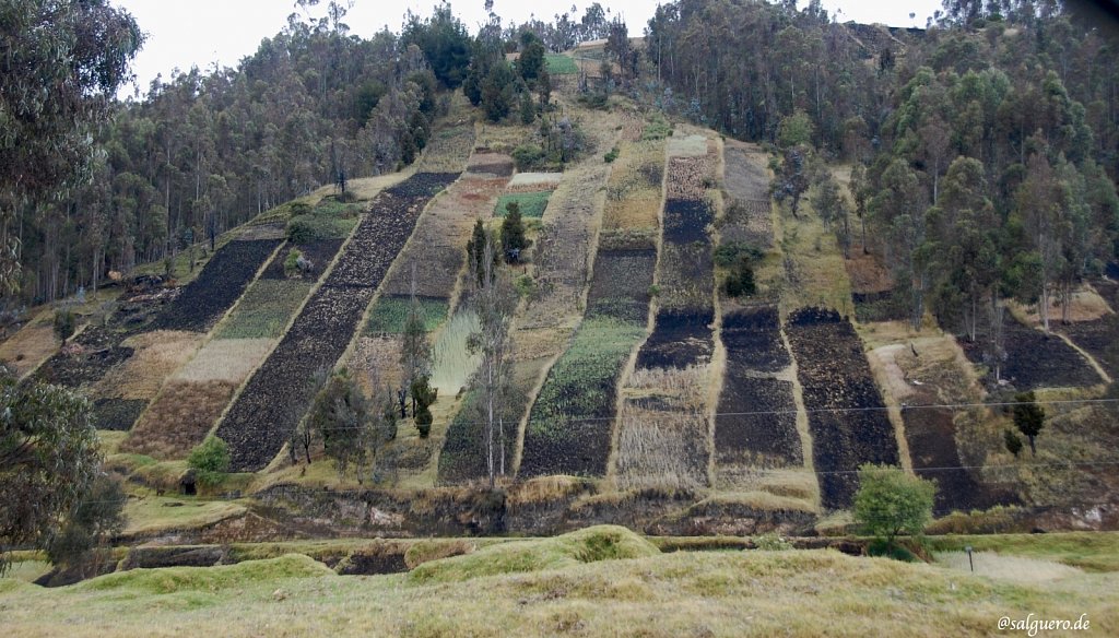 Ecuador