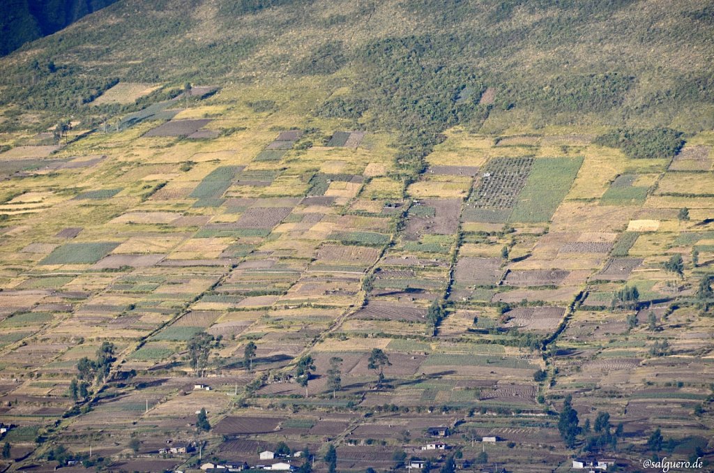 Ecuador