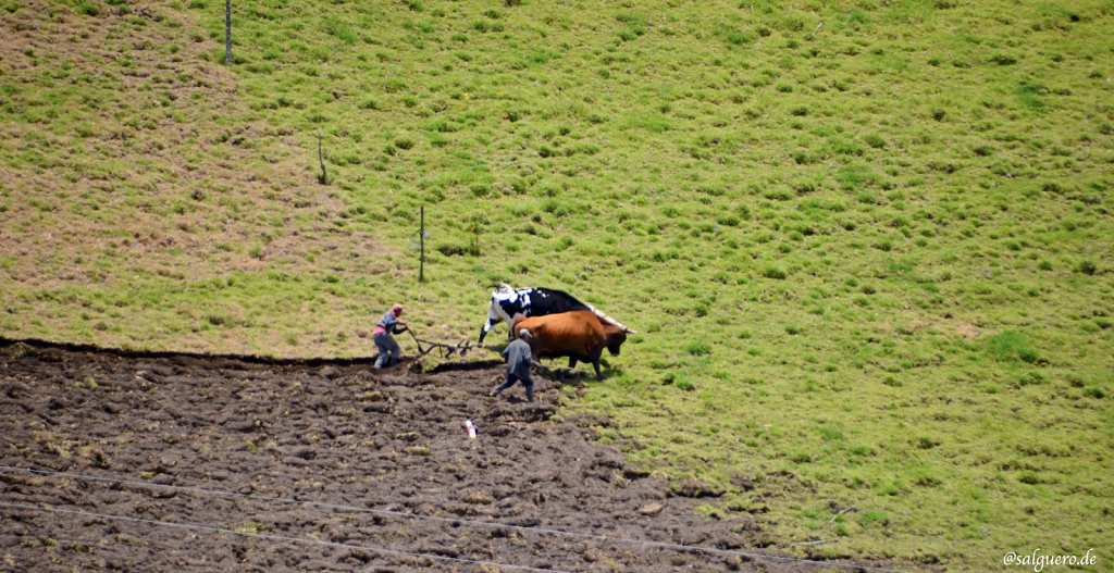 Ecuador