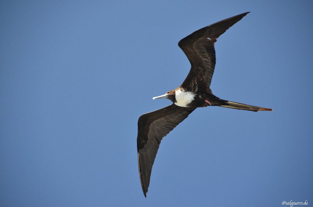 Ecuador