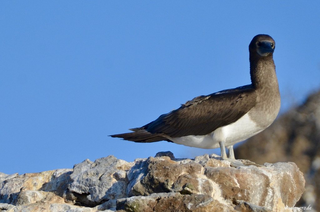 Ecuador