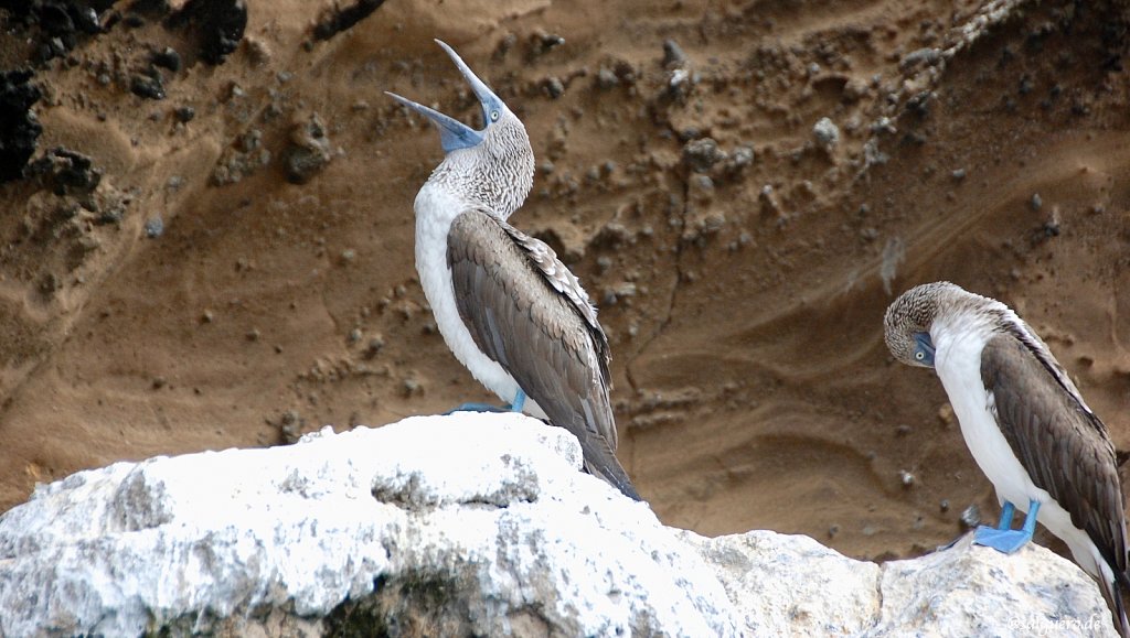 Ecuador