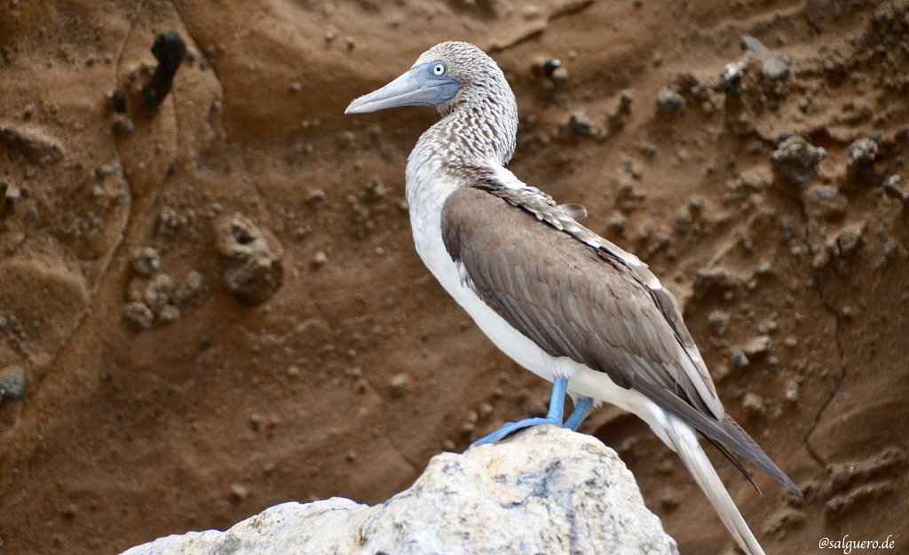 Ecuador