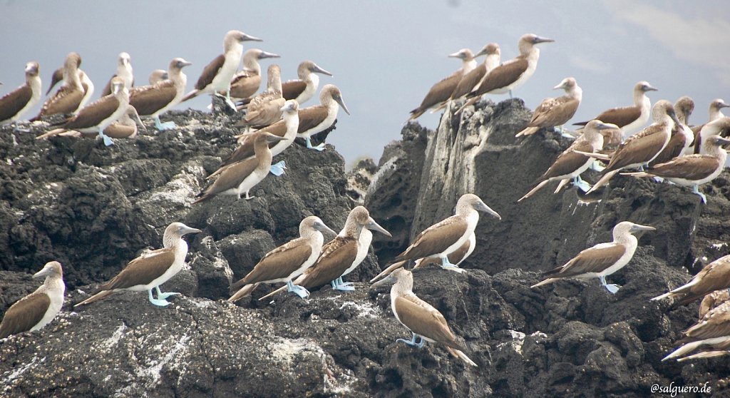 Ecuador