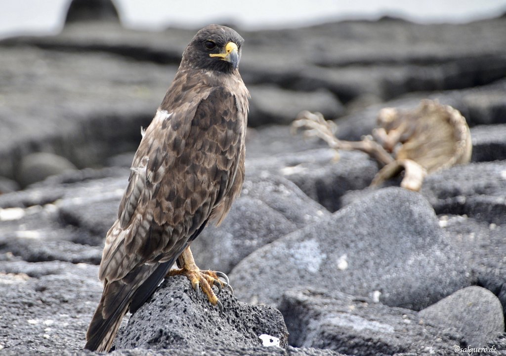 Ecuador