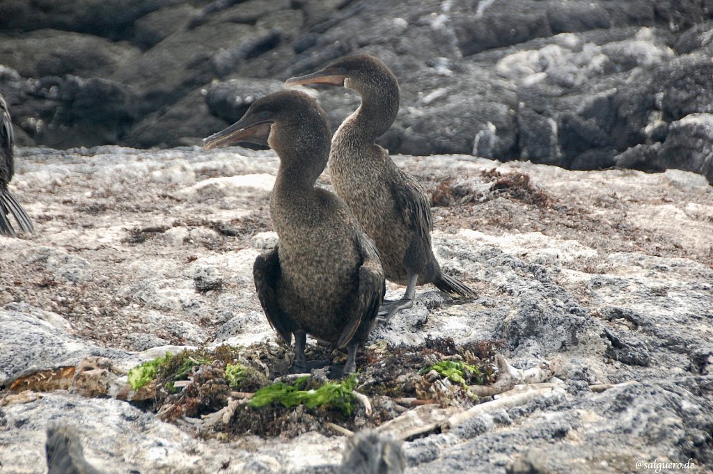 Ecuador