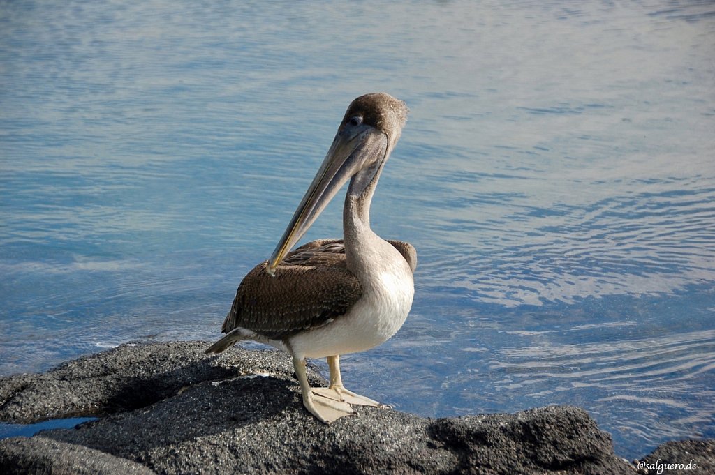 Ecuador