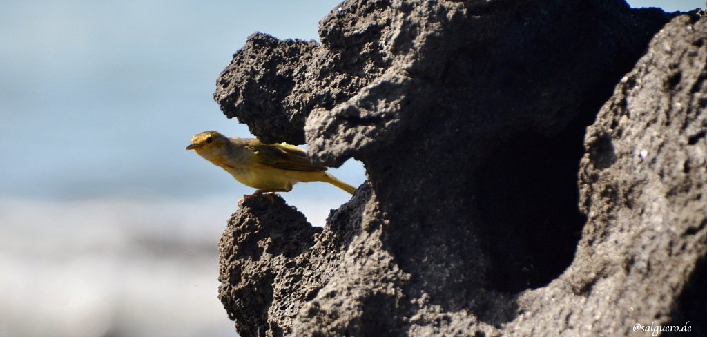 Ecuador