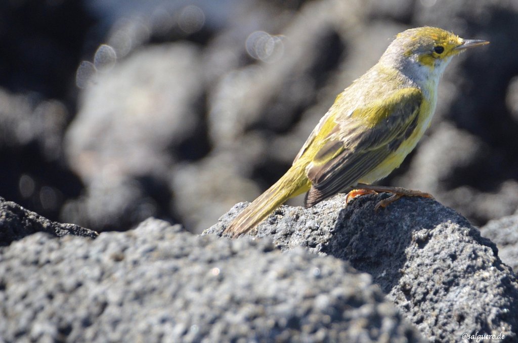 Ecuador