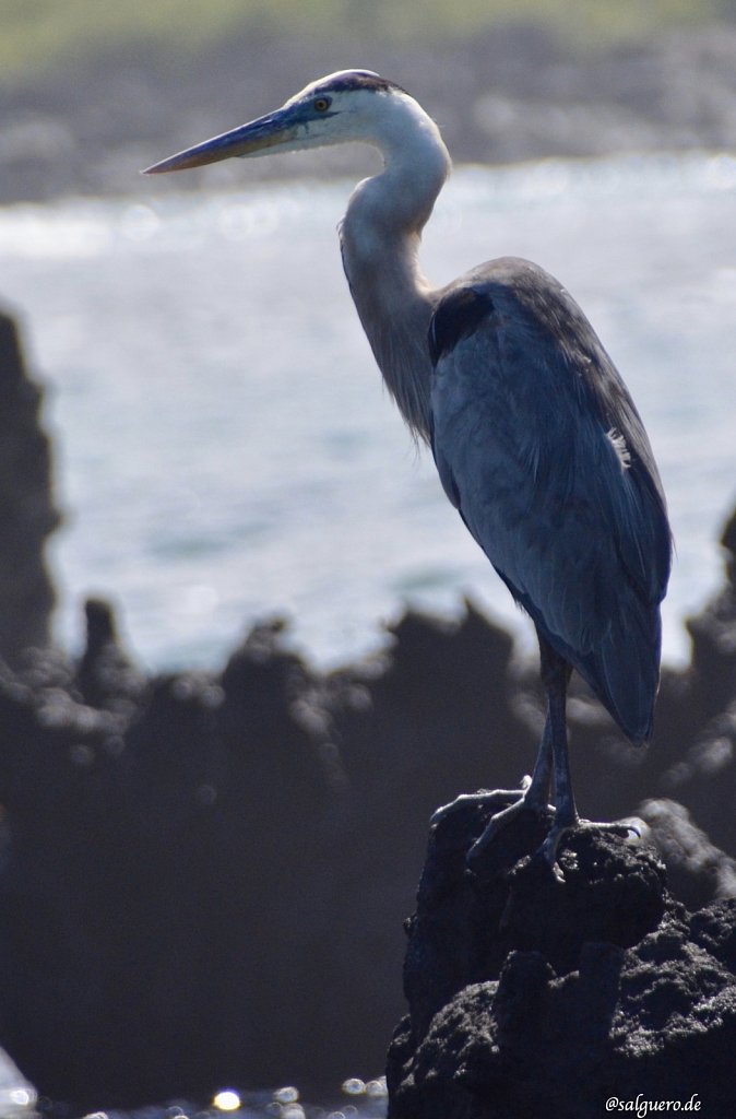 Ecuador