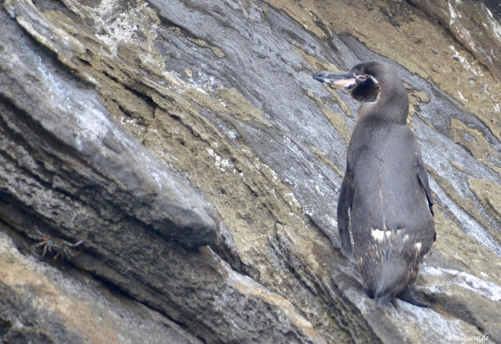 Ecuador