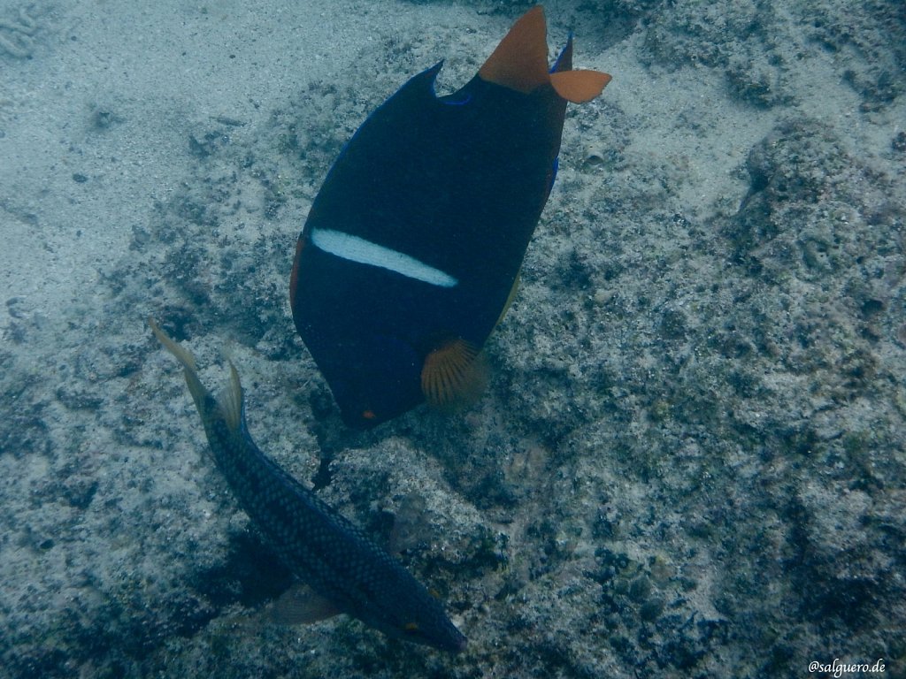 Ecuador