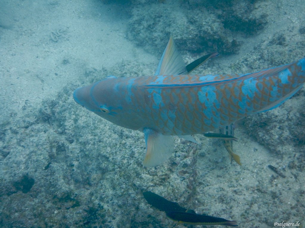 Ecuador