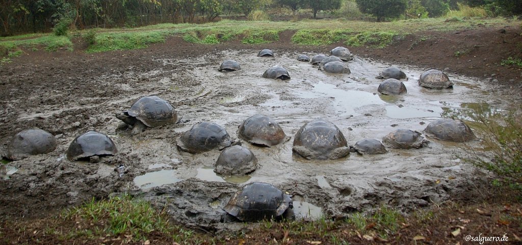 Ecuador